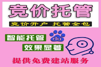 SEM竞价代运营公司成功案例分享：精准投放，提高点击率